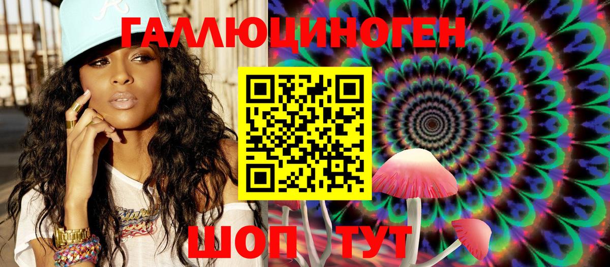 Галлюциногенные грибы Psilocybine cubensis  Пятигорск  Галлюциногенные грибы GOLDEN TEACHER 