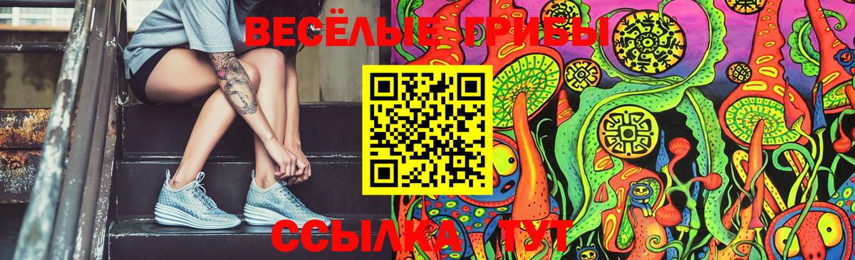 Пятигорск  Псилоцибиновые грибы ЛСД  Псилоцибиновые грибы Magic Shrooms  Вход с VPN 