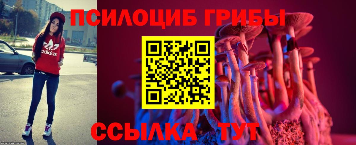 Галлюциногенные грибы Cubensis Пятигорск