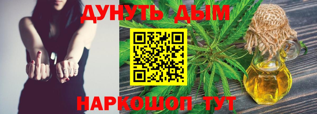 Канабис сатива Пятигорск